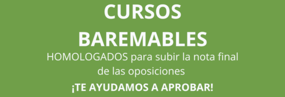 CURSOS BAREMABLES (1)